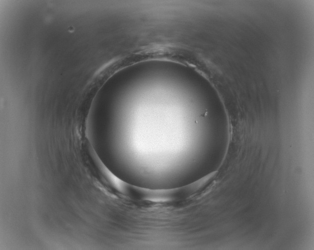 X0000083001206200702011446