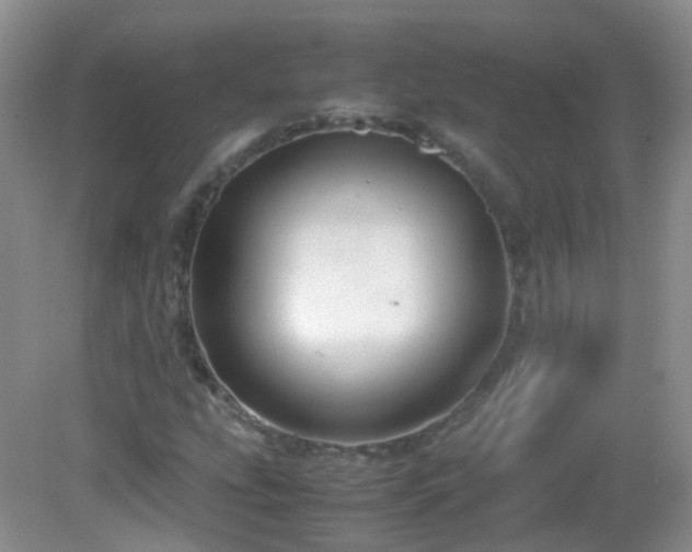 X0000083001207200702011446