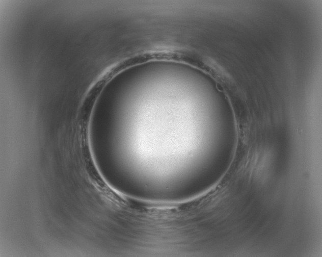 X0000083001208200702011446