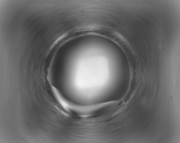 X0000083001210200702011446
