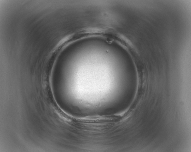 X0000083001213200702011446