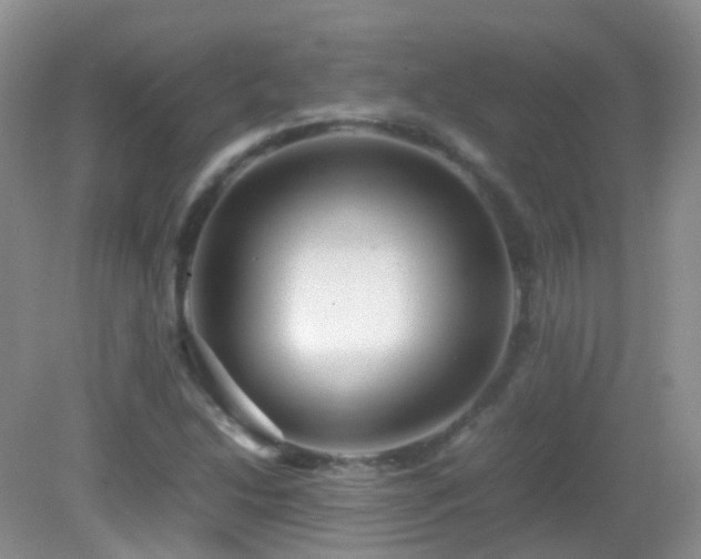 X0000083001214200702011446