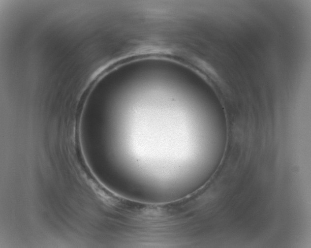 X0000083001220200702011446