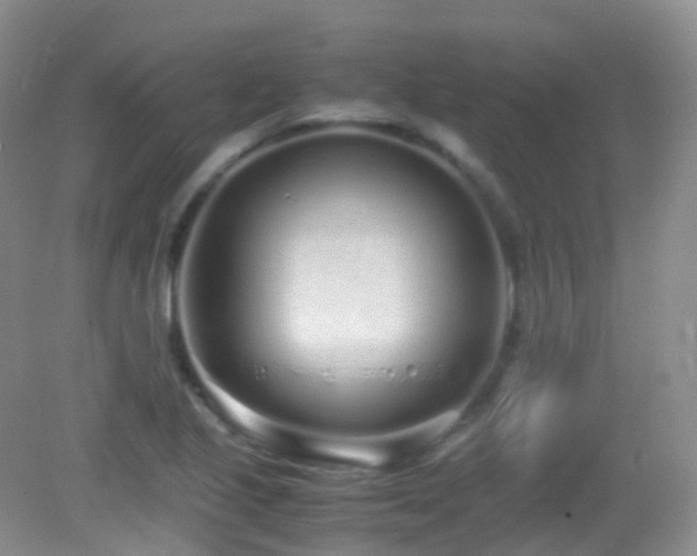 X0000083001221200702011446