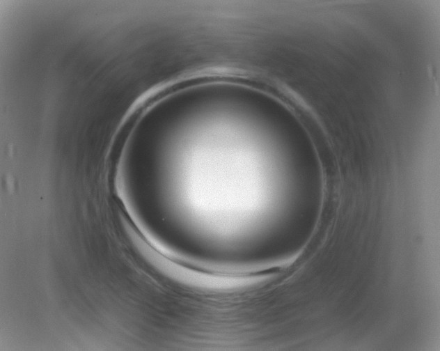 X0000083001222200702011446