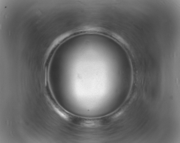 X0000083001223200702011446