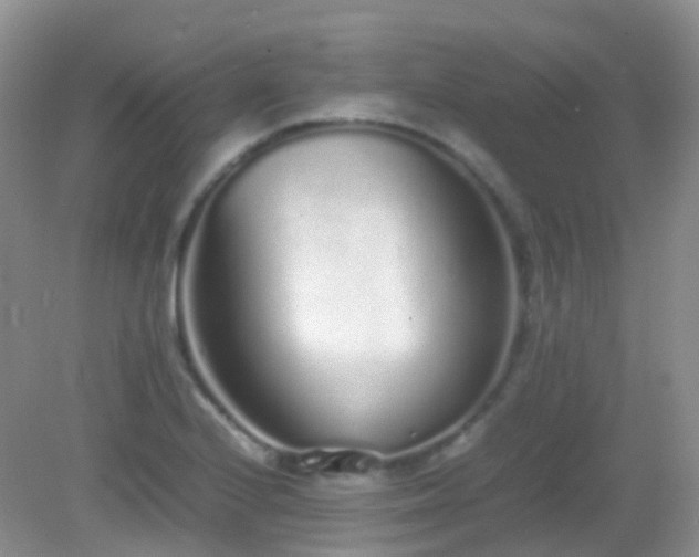 X0000083001224200702011446