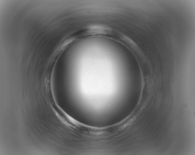 X0000083001225200702011446