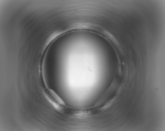 X0000083001226200702011446