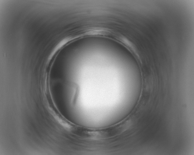 X0000083001227200702011446