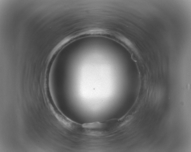 X0000083001229200702011446