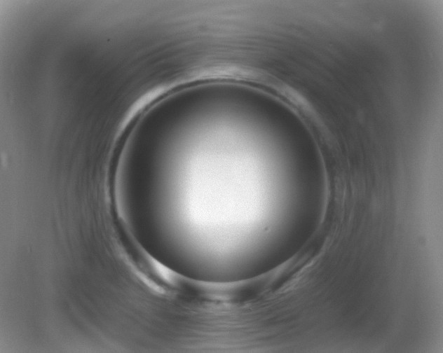 X0000083001230200702011446