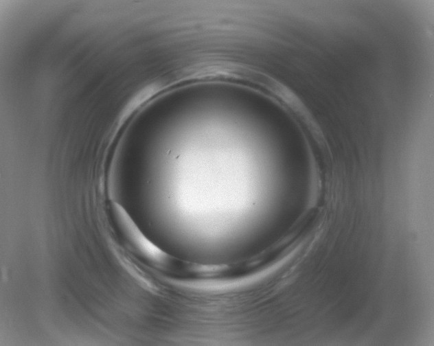 X0000083001234200702011446
