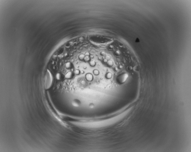 X0000083001235200702011446