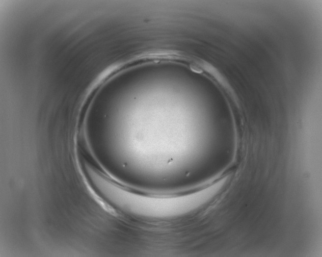 X0000083001237200702011446