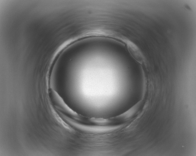 X0000083001238200702011446