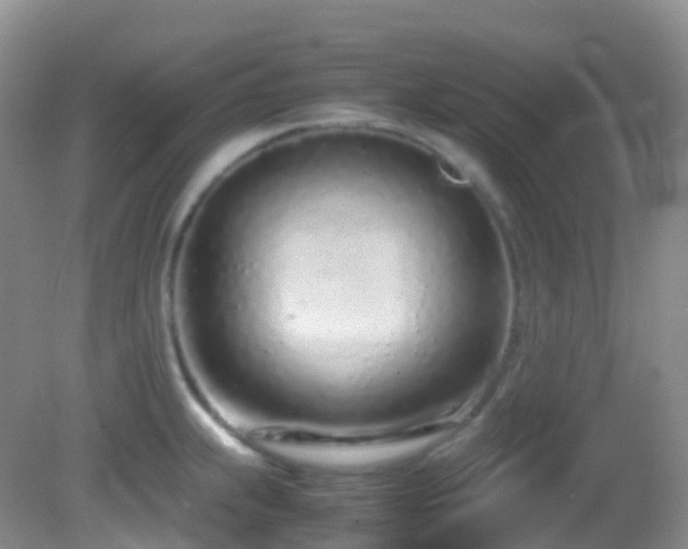 X0000083001239200702011446