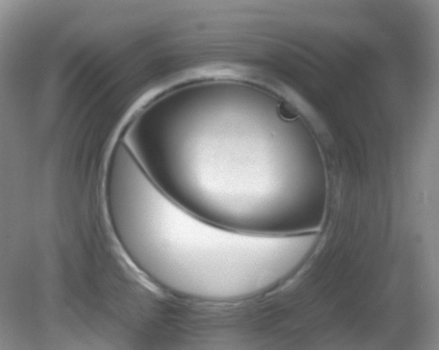 X0000083001240200702011446