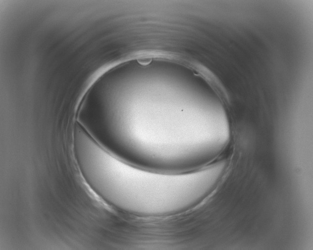 X0000083001244200702011446