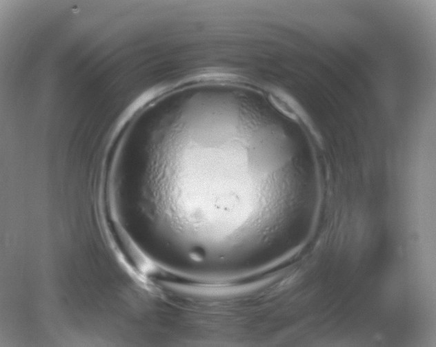 X0000083001245200702011446