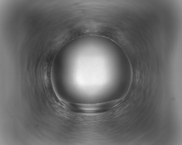 X0000083001250200702011446