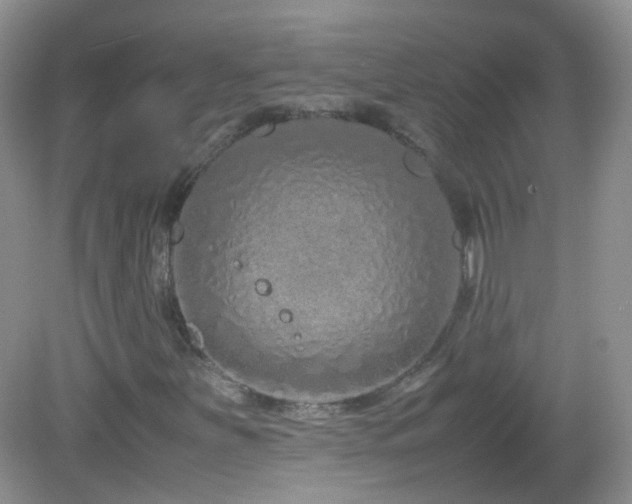 X0000083001251200702011446