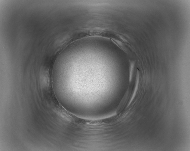 X0000083001252200702011446