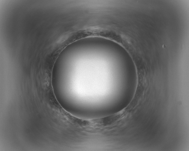 X0000083001253200702011446