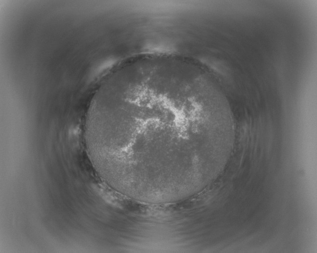 X0000083001254200702011446