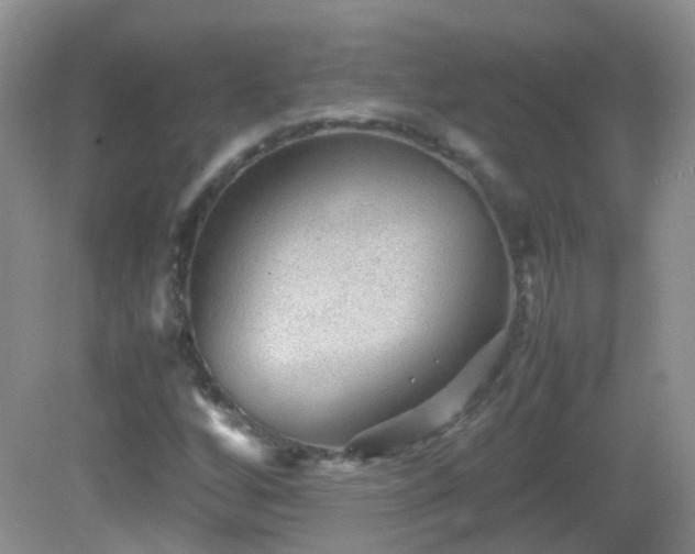 X0000083001256200702011446
