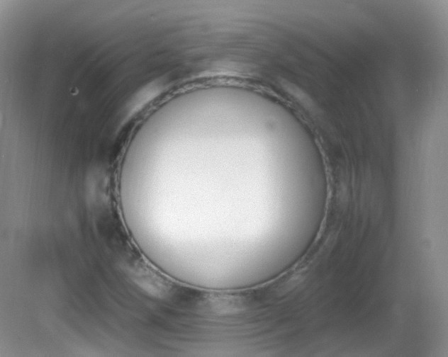 X0000083001258200702011446