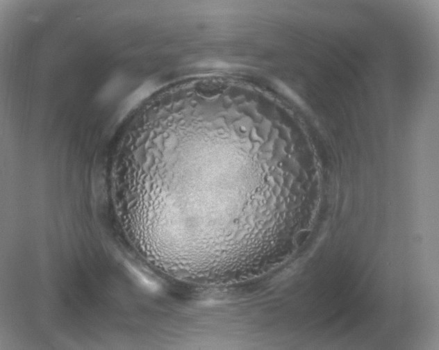 X0000083001259200702011446