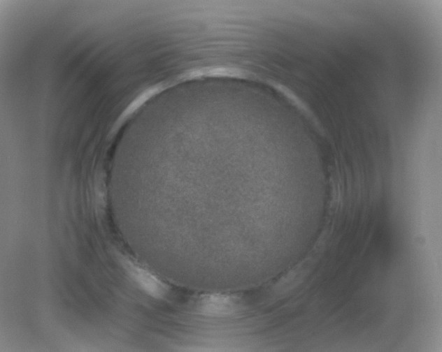 X0000083001266200702011445