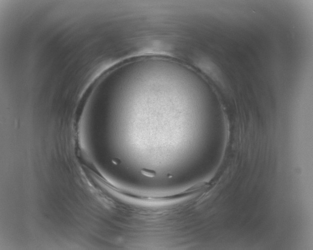 X0000083001268200702011445