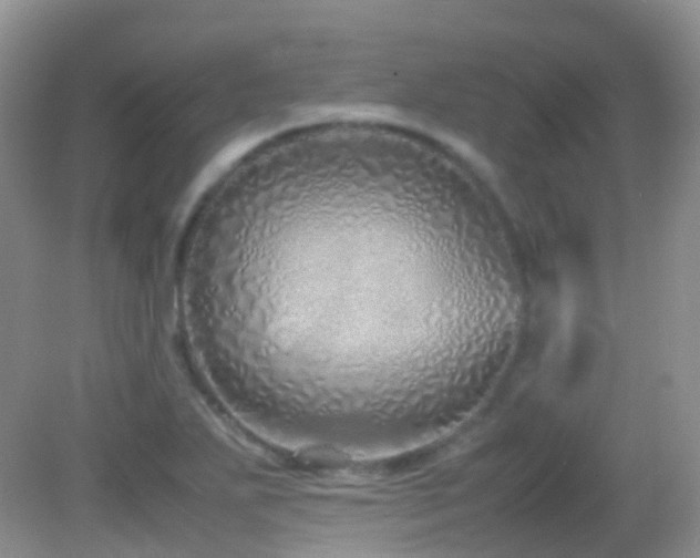 X0000083001271200702011445