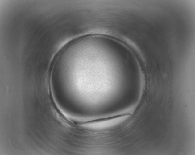 X0000083001272200702011445