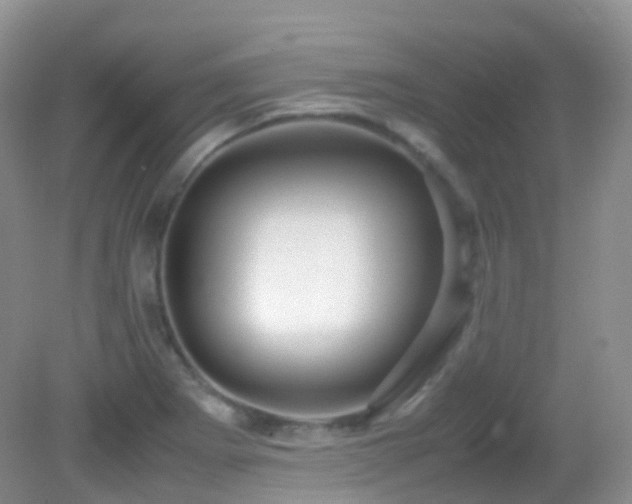 X0000083001273200702011445