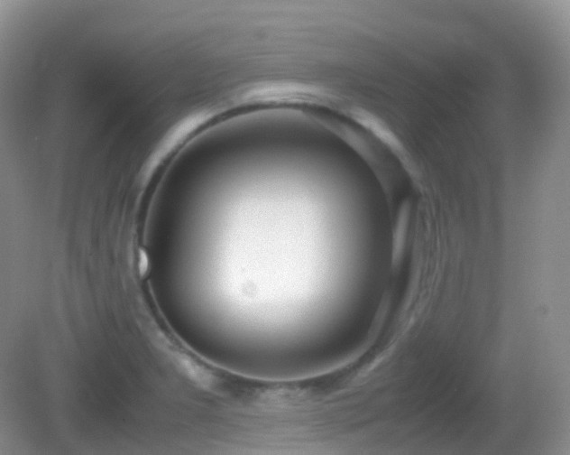 X0000083001277200702011445