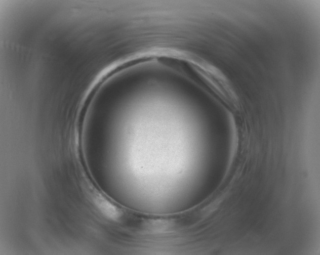 X0000083001280200702011445