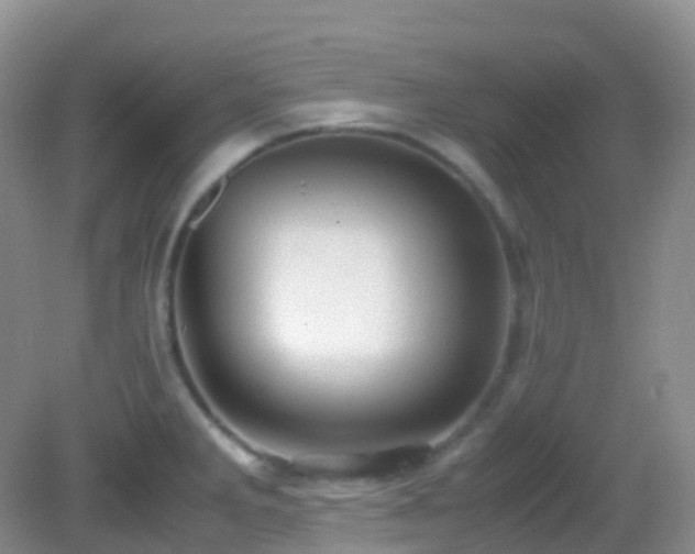 X0000083001285200702011445