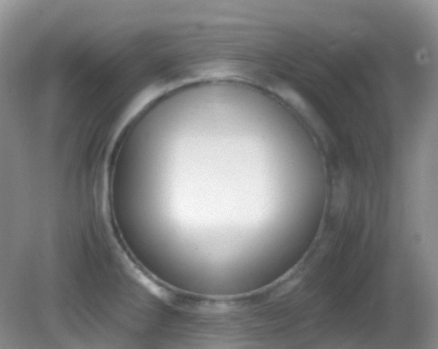 X0000083001286200702011445