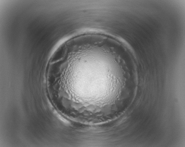 X0000083001287200702011445