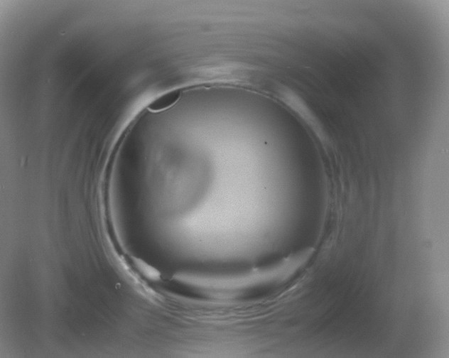 X0000083001291200702011445