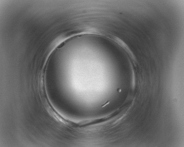 X0000083001292200702011445
