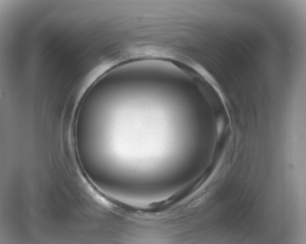 X0000083001293200702011445
