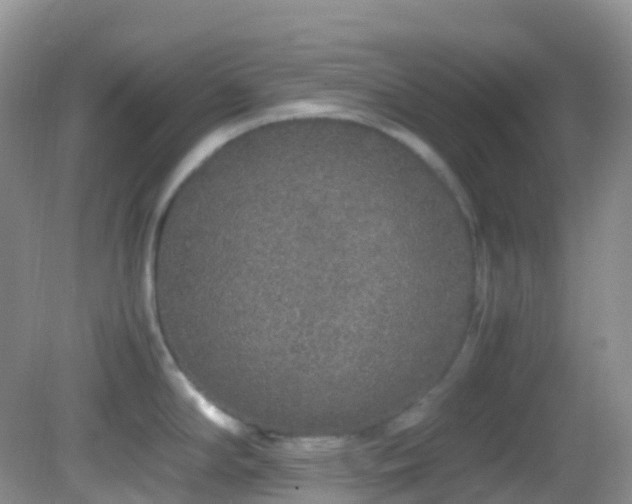X0000083001294200702011445