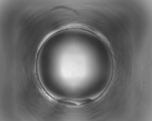 X0000083001296200702011445