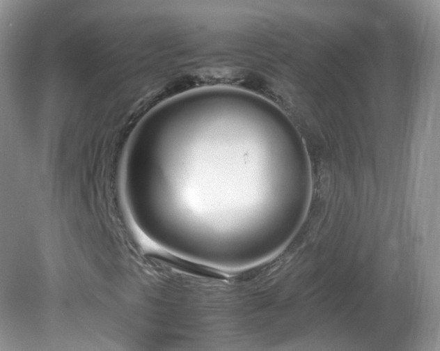 X0000083001297200702011444
