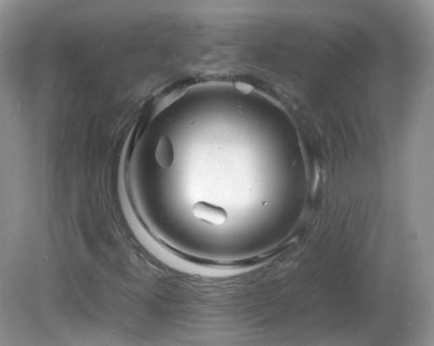 X0000083001300200702011444
