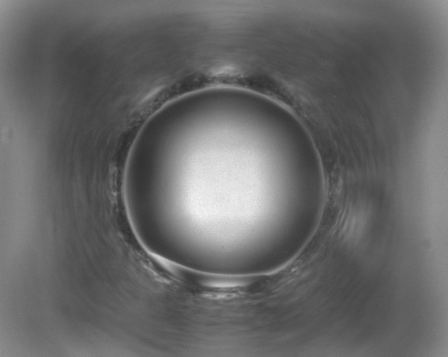 X0000083001301200702011444